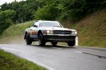 IMG_7880_800x533.jpg