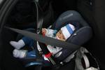 IMG_0551_800x534.jpg
