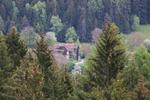 IMG_1613_800x533.jpg