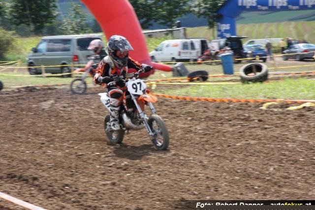 IMG_4536_800x533.jpg