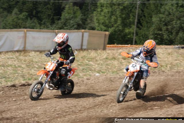 IMG_4553_800x534.jpg