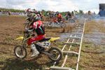 IMG_4879_800x533.jpg
